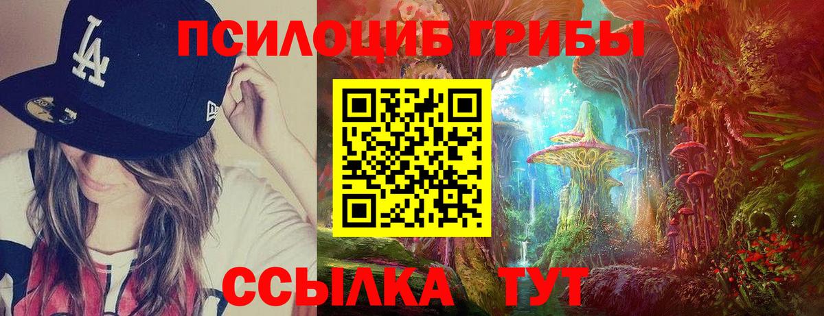 Торжок  Псилоцибиновые грибы прущие грибы  Вход с VPN 